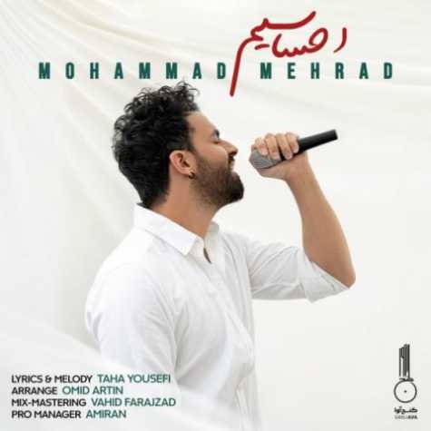 دانلود آهنگ احساسیم  محمد مهراد