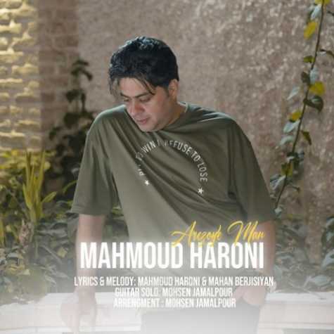 دانلود آهنگ آرزوى من  محمود هارونى