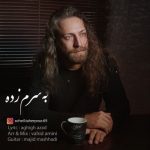 دانلود آهنگ به سرم زده سهیل تهران پور